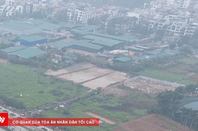 Hà Nội chỉ đạo 'nóng' vụ hàng trăm nhà xưởng trái phép trên đất nông nghiệp