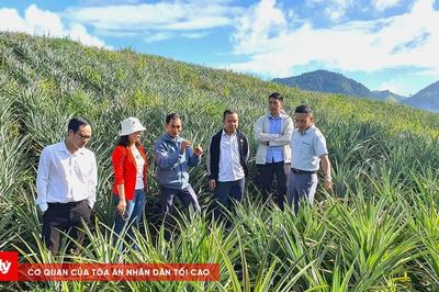 Điện Biên phân công Ủy viên Ban Thường vụ theo dõi, đôn đốc các ngành kinh tế trọng điểm