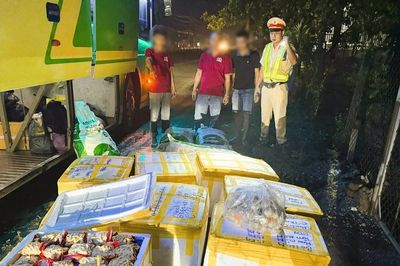Phát hiện xe khách chở hơn 8 tạ thực phẩm không rõ nguồn gốc
