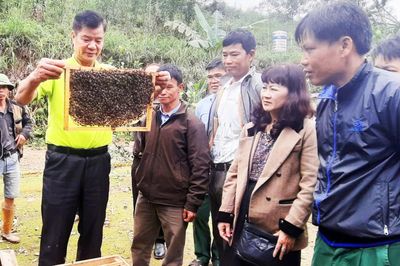 Góp phần phát triển kinh tế xanh, kinh tế tuần hoàn gắn với bảo vệ môi trường