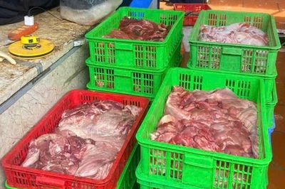 Thu mua lợn nhiễm dịch tả lợn châu Phi để bán ra thị trường, một cơ sở kinh doanh ở Hưng Yên bị điều tra