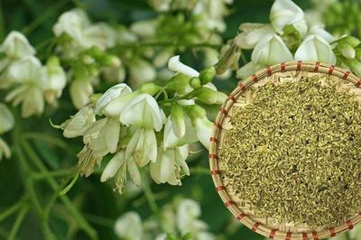 Loại nụ hoa quen thuộc được ví là 'thuốc cầm máu' trong Đông y, nhưng không phải ai cũng dùng được