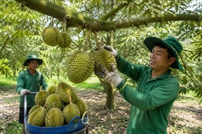 Trung Quốc công nhận thêm 18 phòng xét nghiệm Cadimi và Vàng O của Việt Nam