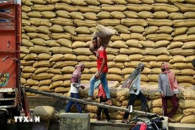 Nông sản thế giới biến động trái chiều: Gạo và cà phê tăng, ngũ cốc Mỹ giảm