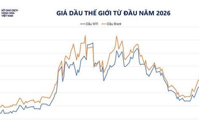 Giá dầu giảm mạnh, MXV-Index giảm ba phiên liên tiếp
