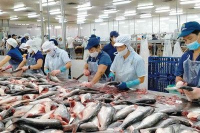 Vượt rào cản, nông sản hướng tới mốc 74 tỷ USD