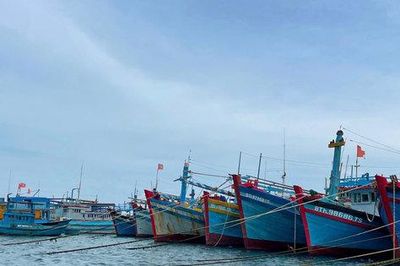 21 tỉnh, thành phố ven biển chủ động ứng phó áp thấp nhiệt đới