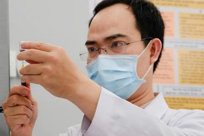 Nhiều người phải đi tiêm phòng dại, xử trí thế nào khi bị chó, mèo cắn?