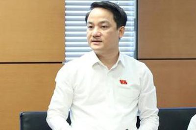ĐBQH: Cần bảo vệ đúng người dám nghĩ, dám làm vì lợi ích chung