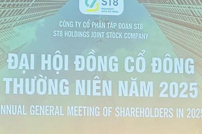 Tập đoàn ST8 bị xử phạt vì báo lỗ thành lãi