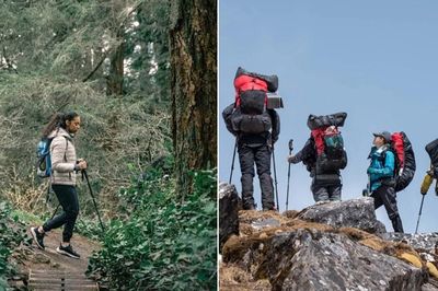 Vì sao nhiều người bị lạc khi đi rừng, leo núi kể rằng họ 'không đi một mình'?