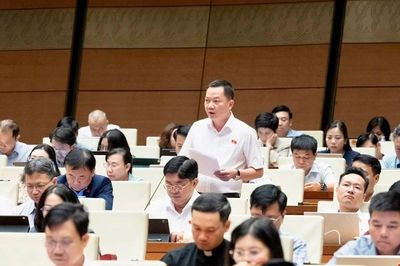 Đại biểu Quốc hội đề xuất đưa kim cương, hợp đồng kỳ nghỉ vào ngành nghề kinh doanh có điều kiện