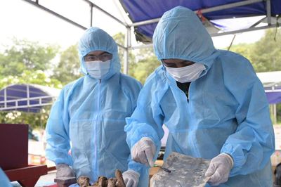 An Giang: Phát hiện di vật mang thông tin liệt sĩ trong quá trình lấy mẫu ADN tại Nghĩa trang Liệt sĩ Tri Tôn