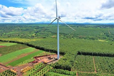 Sàn carbon sau một tháng vận hành: Chờ 'hàng hóa' và người mua