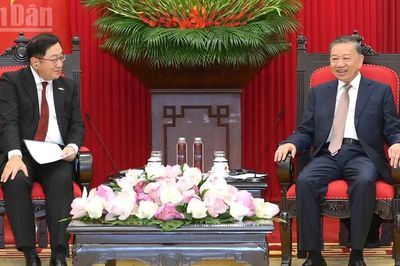 [Ảnh] Tổng Bí thư, Chủ tịch nước Tô Lâm tiếp Đại sứ Malaysia Dato' Tan Yang Thai