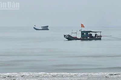 Thanh Hóa chủ động phòng, chống mưa, bão