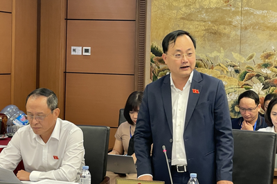 Đại biểu Quốc hội: Cần tăng cường bảo vệ lao động Việt Nam làm việc ở nước ngoài