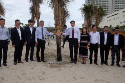 Tiếp nhận và trồng dừa lưu niệm cùng Đoàn đại biểu quận Hamyang