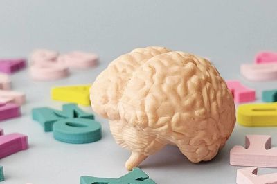 Nói nhiều ngôn ngữ giúp làm chậm quá trình lão hóa não bộ