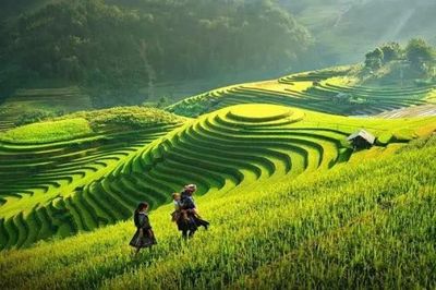 Trào lưu du lịch bền vững định hình lại xu hướng dịch chuyển của du khách