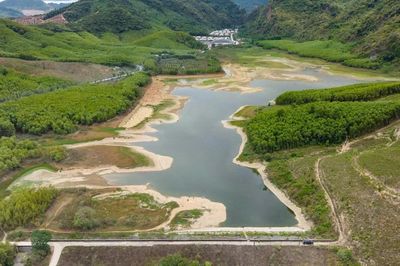 Nước hồ Lòng Đèn chuyển màu đen bất thường, người dân nghi từ trang trại nuôi 40.000 con lợn