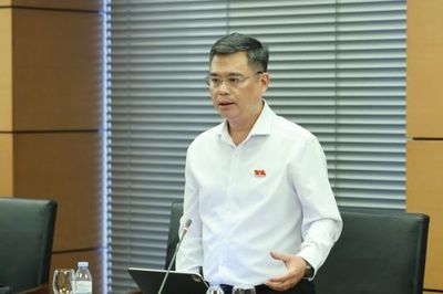 ĐBQH Nguyễn Thanh Tùng: Cần bổ sung cơ chế tín dụng và dự phòng rủi ro cho các dự án dầu khí