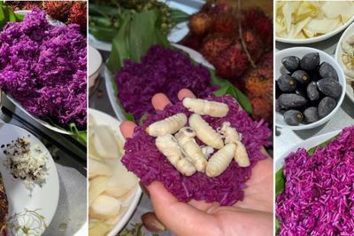 Món lạ từ sản vật rừng núi không phải ai cũng dám thử ở Tây Bắc, ăn dẻo bùi