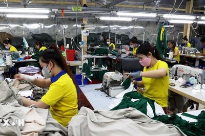 Đại biểu Quốc hội: Cần có cơ sở dữ liệu liên thông để quản lý lao động ở nước ngoài