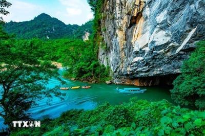 Bàn giao một cá thể Diều hoa Miến Điện cho Vườn quốc gia Phong Nha-Kẻ Bàng