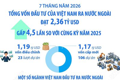 7 tháng năm 2026: Đầu tư của Việt Nam ra nước ngoài đạt 2,36 tỷ USD