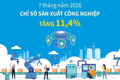 7 tháng năm 2026: Chỉ số sản xuất công nghiệp tăng 11,4%