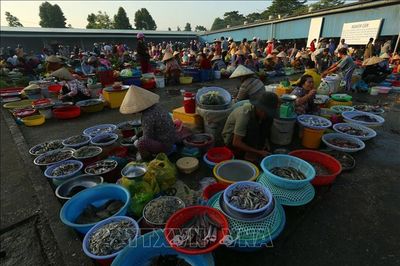 Nét quê ở chợ phường Vị Thanh (Cần Thơ)