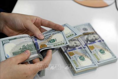 Tỷ giá hôm nay 5/8: Tỷ giá trung tâm tiếp tục tăng