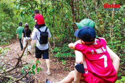 Khám phá 'Khu rừng cổ tích' ven biển tại TP Hồ Chí Minh