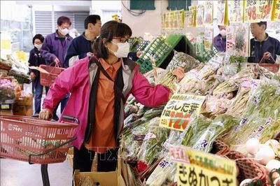 Chính phủ Nhật Bản thông qua kế hoạch giảm thuế tiêu dùng