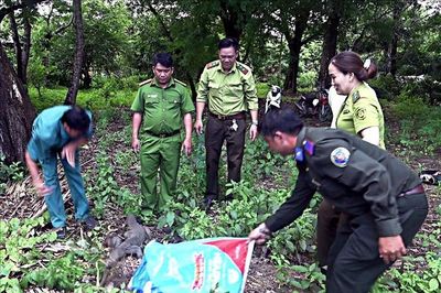 Thả kỳ đà hoa về rừng đặc dụng vườn chim Bạc Liêu