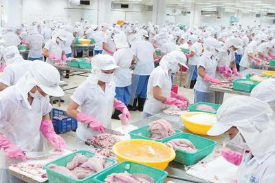 Doanh thu 'bốc hơi' 74%, Thủy sản Mekong vẫn báo lãi gấp 3 lần cùng kỳ