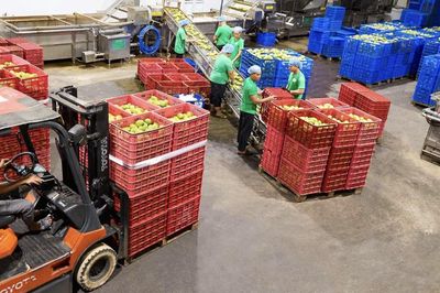 Antesco lãi hơn 64 tỷ đồng sau 6 tháng, nợ phải trả vượt 1.152 tỷ đồng
