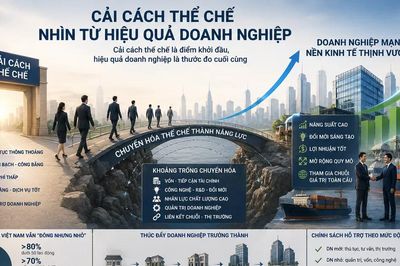 Cải cách thể chế nhìn từ hiệu quả doanh nghiệp