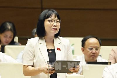 Kỳ họp không thường lệ thứ Nhất, Quốc hội khóa XVI: Không tạo khoảng trống pháp lý khi cắt giảm các ngành, nghề đầu tư kinh doanh có điều kiện
