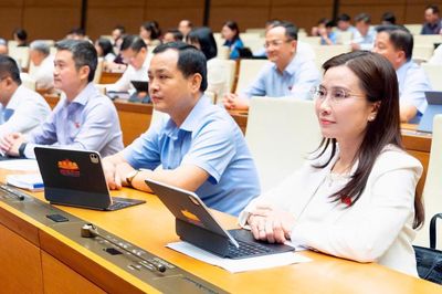 Đại biểu Quốc hội: 'Cần đưa kim cương vào diện kinh doanh có điều kiện'