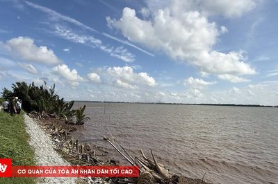Khẩn cấp ứng phó sạt lở bờ sông Hậu