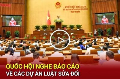 Quốc hội nghe báo cáo về các dự án Luật sửa đổi