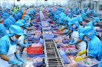 Xuất khẩu thủy sản vượt 1 tỷ USD trong tháng 7