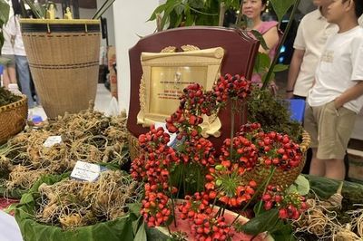 Phiên đấu giá Sâm Ngọc Linh hút hơn 100 doanh nghiệp tham gia