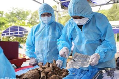 Phát hiện di vật ghi tên liệt sĩ Nguyễn Văn Thuần tại Nghĩa trang Liệt sĩ Tri Tôn
