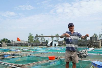 Khai thác, nuôi trồng thủy sản đạt kết quả tích cực