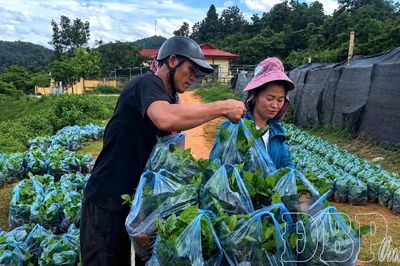 Đánh thức tiềm năng từ tầm nhìn chiến lược của Đảng (bài 2)