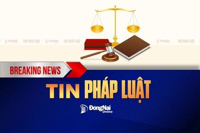 Nói không với mua bán, sử dụng giấy tờ giả