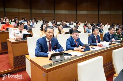 Đoàn Đại biểu Quốc hội thành phố Đồng Nai tham dự Kỳ họp không thường lệ thứ nhất, Quốc hội khóa XVI